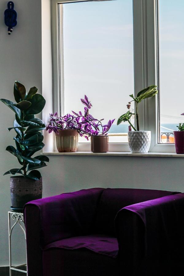 Vila Gladiola Eforie Nord Exterior photo